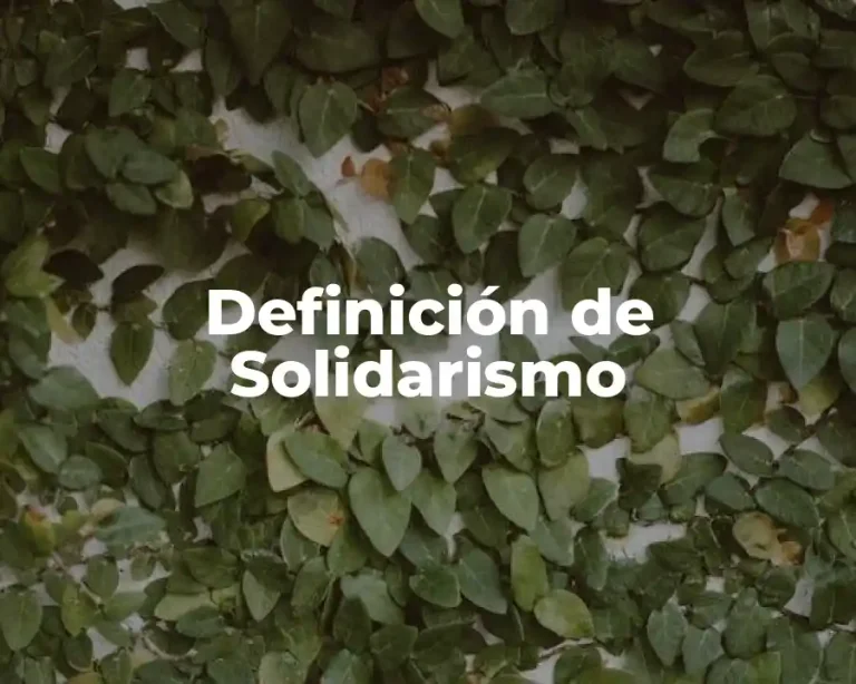 Definición de Solidarismo