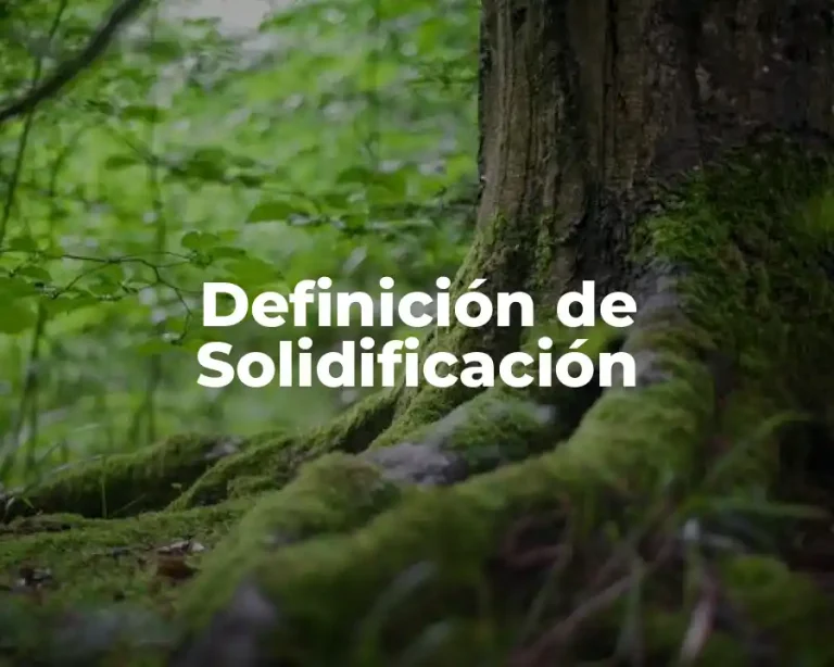 Definición de Solidificación