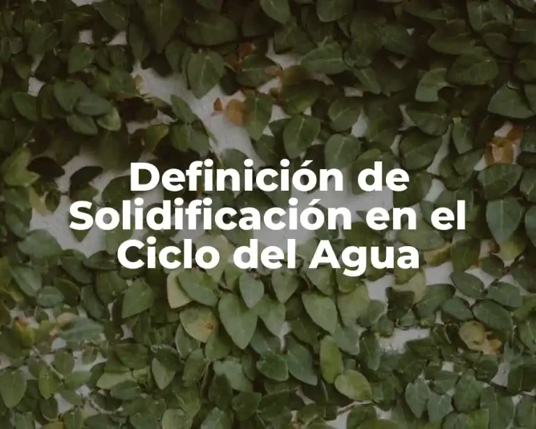 Definición de Solidificación en el Ciclo del Agua