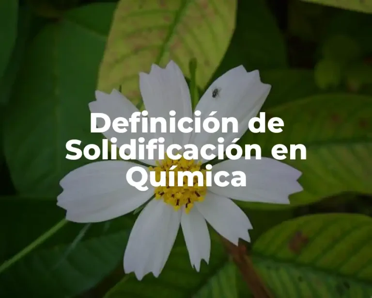 Definición de Solidificación en Química