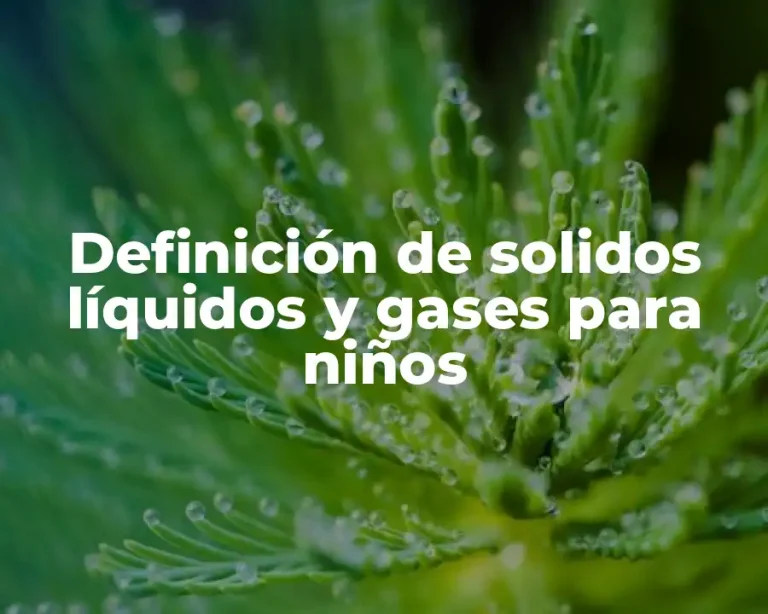 Definición de solidos líquidos y gases para niños