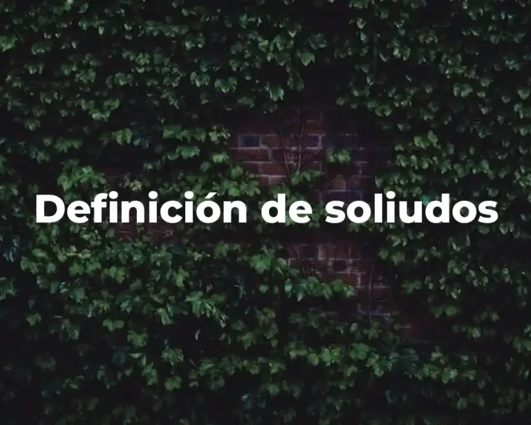 Definición de soliudos