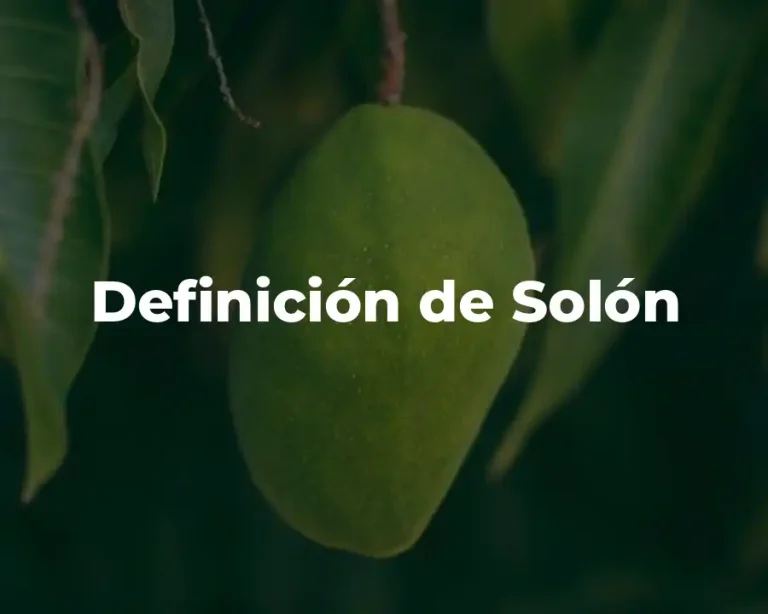 Definición de Solón