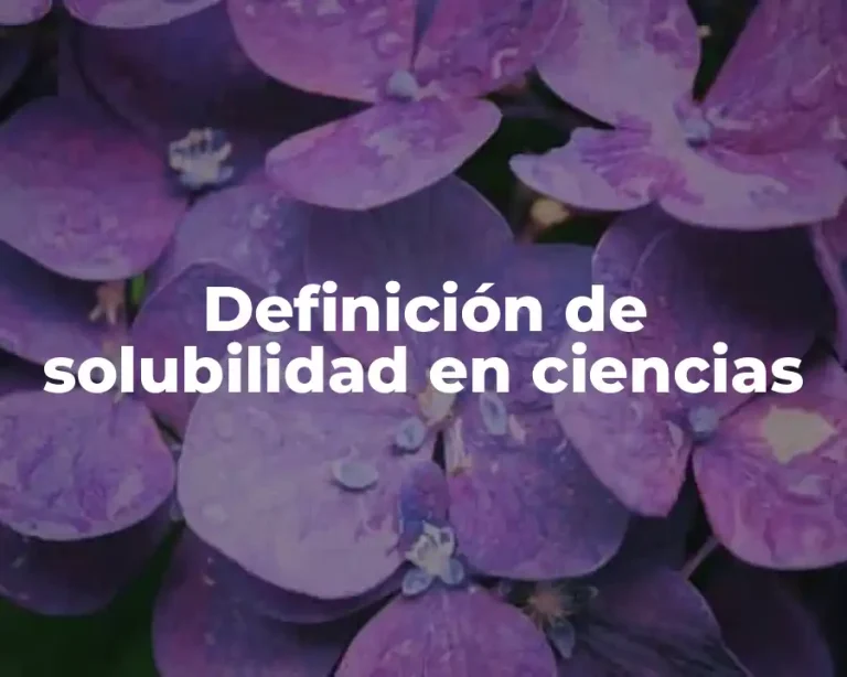Definición de solubilidad en ciencias