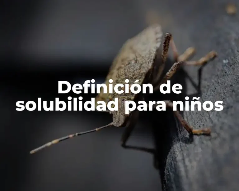 Definición de solubilidad para niños