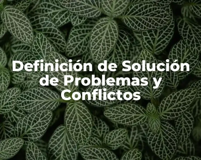 Definición de Solución de Problemas y Conflictos