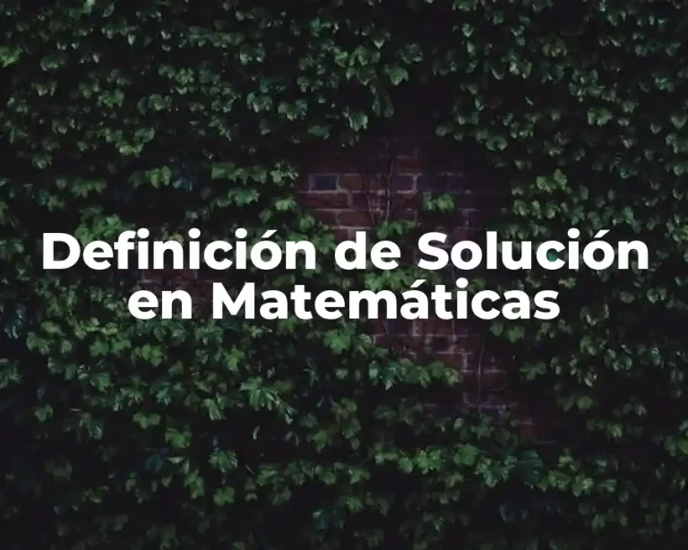 Definición de Solución en Matemáticas