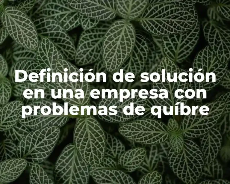 Definición de solución en una empresa con problemas de quíbre