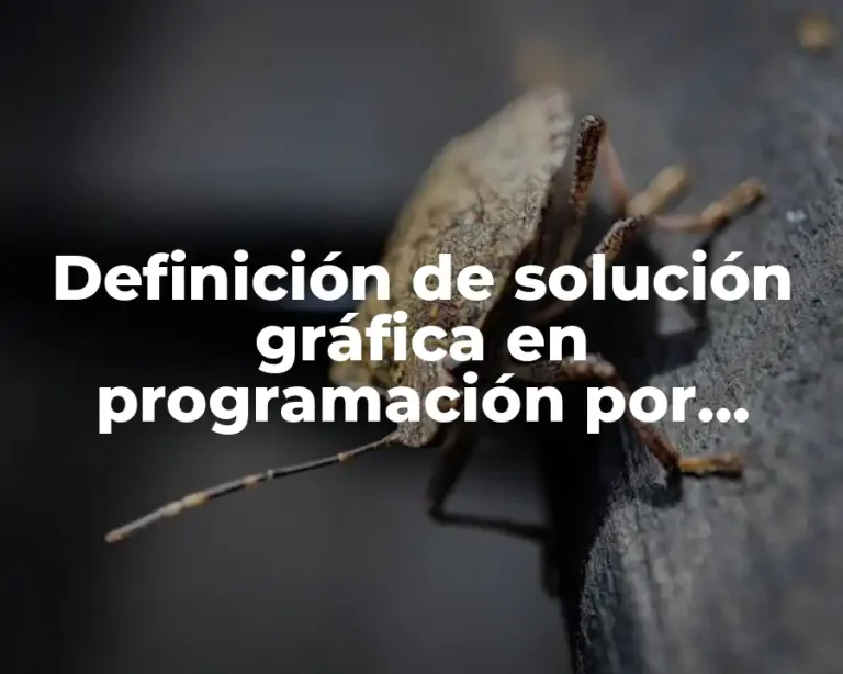 Definición de solución gráfica en programación por metas