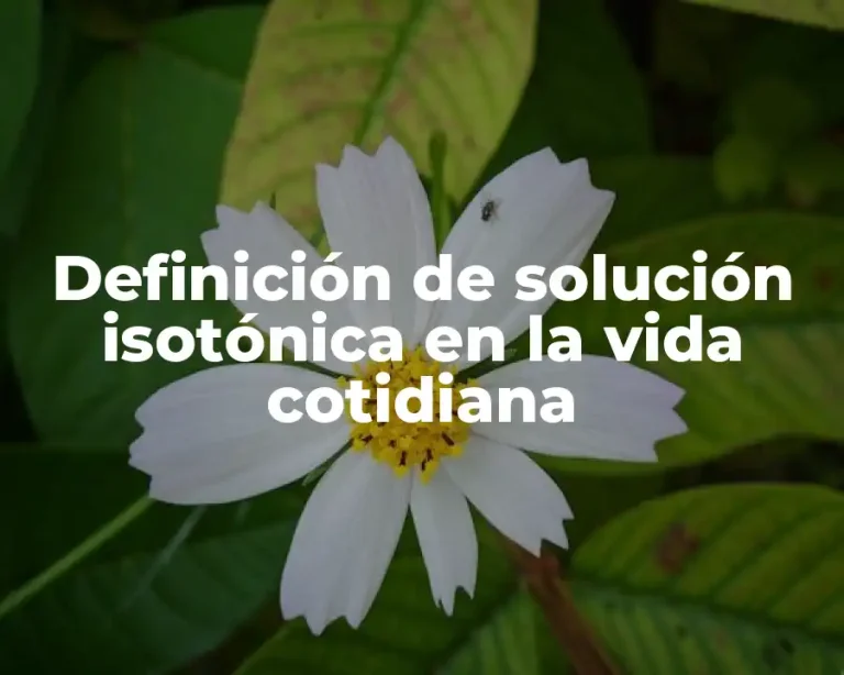 Definición de solución isotónica en la vida cotidiana