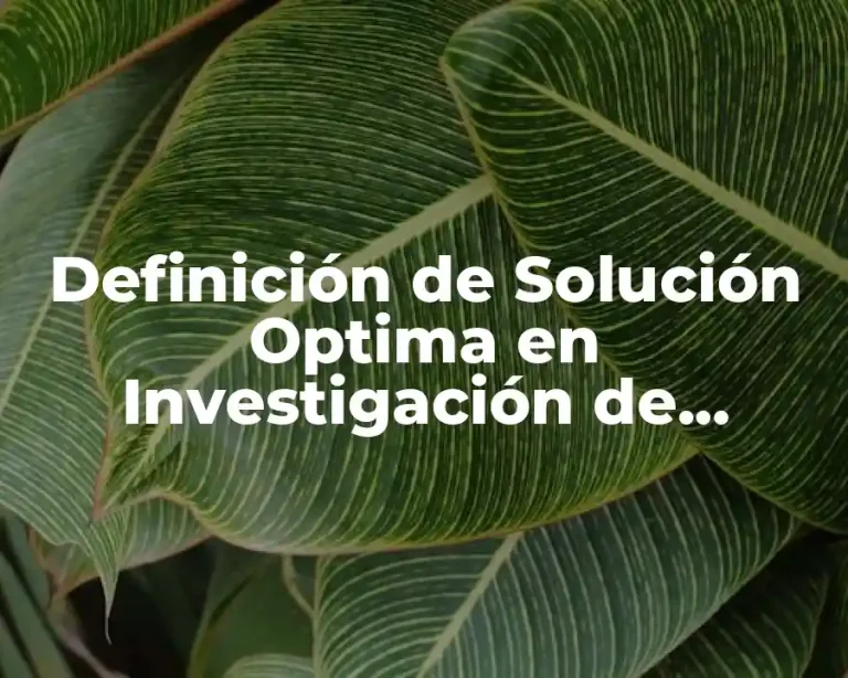 Definición de Solución Optima en Investigación de Operaciones