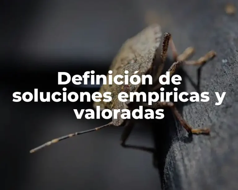 Definición de soluciones empiricas y valoradas