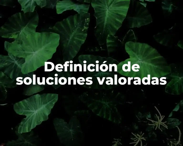 Definición de soluciones valoradas