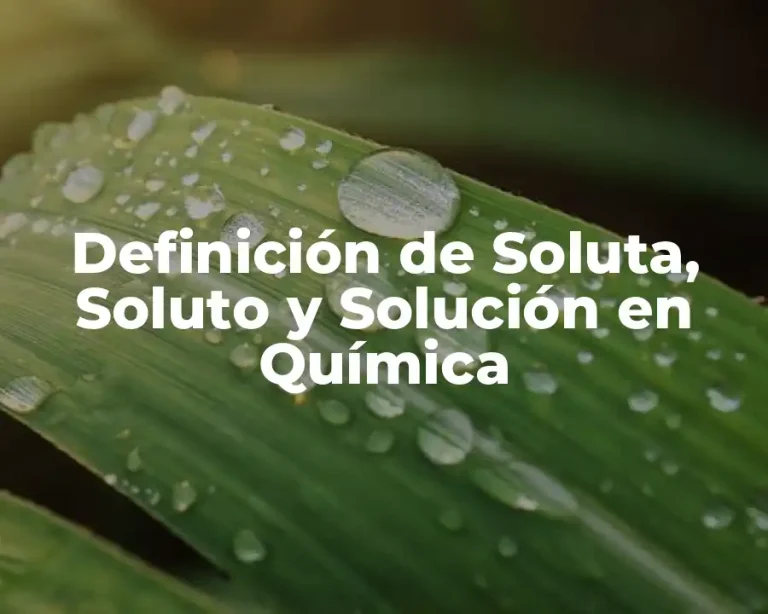 Definición de Soluta, Soluto y Solución en Química