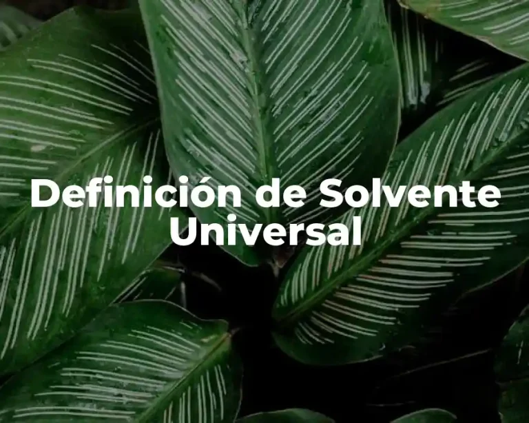 Definición de Solvente Universal
