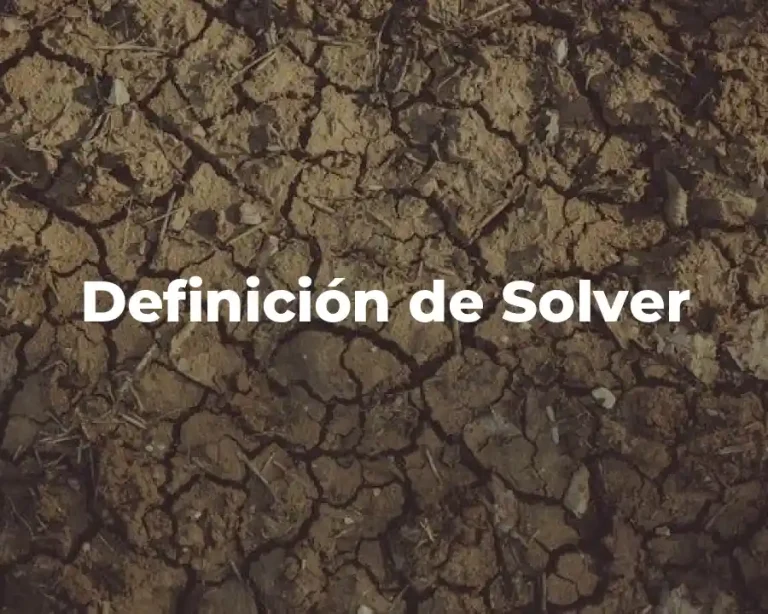 Definición de Solver