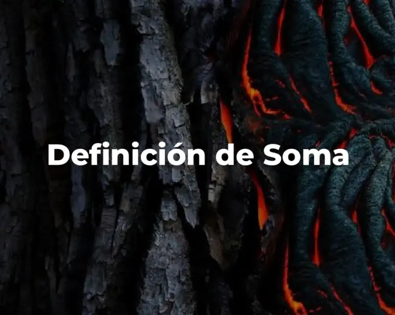 Definición de Soma