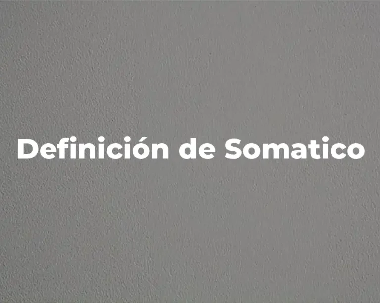 Definición de Somatico