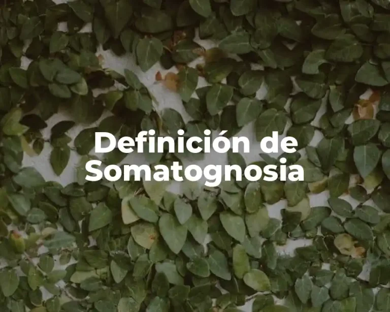 Definición de Somatognosia
