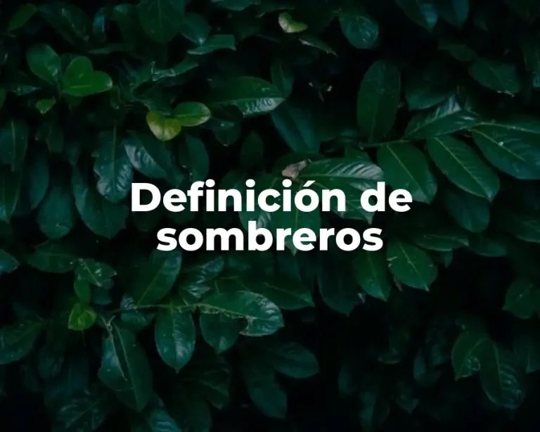 Definición de sombreros
