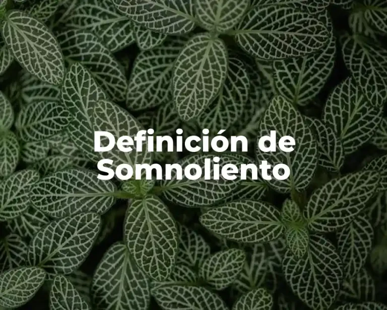 Definición de Somnoliento
