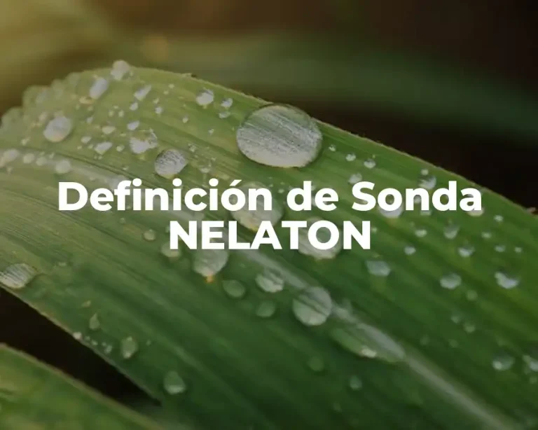 Definición de Sonda NELATON