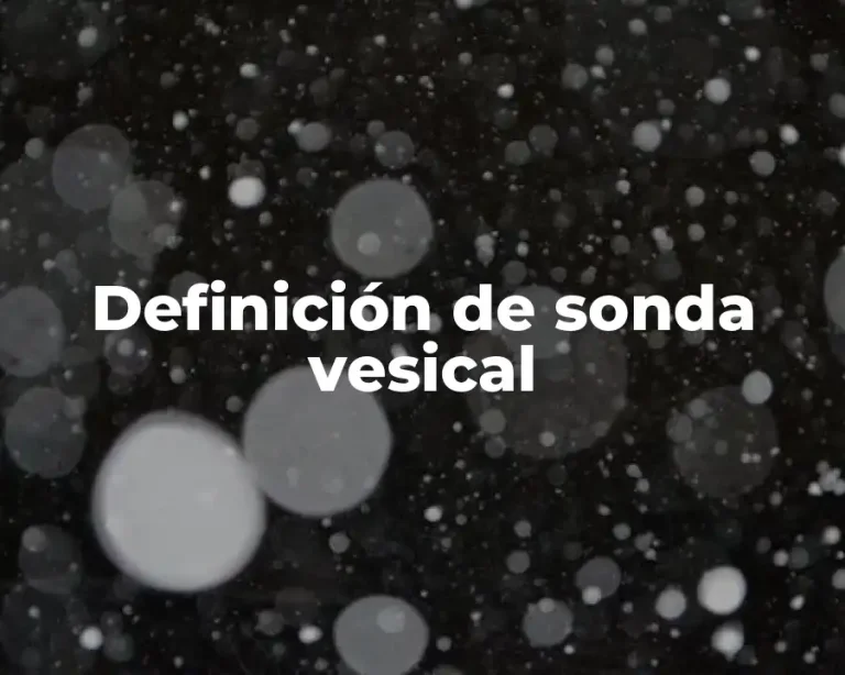 Definición de sonda vesical