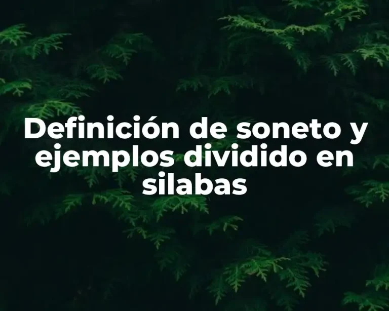 Definición de soneto y ejemplos dividido en silabas
