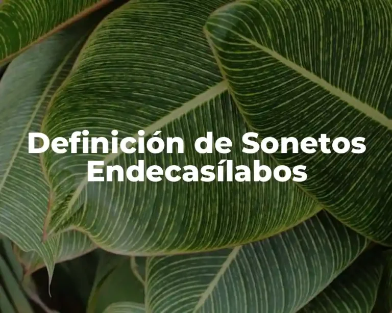 Definición de Sonetos Endecasílabos