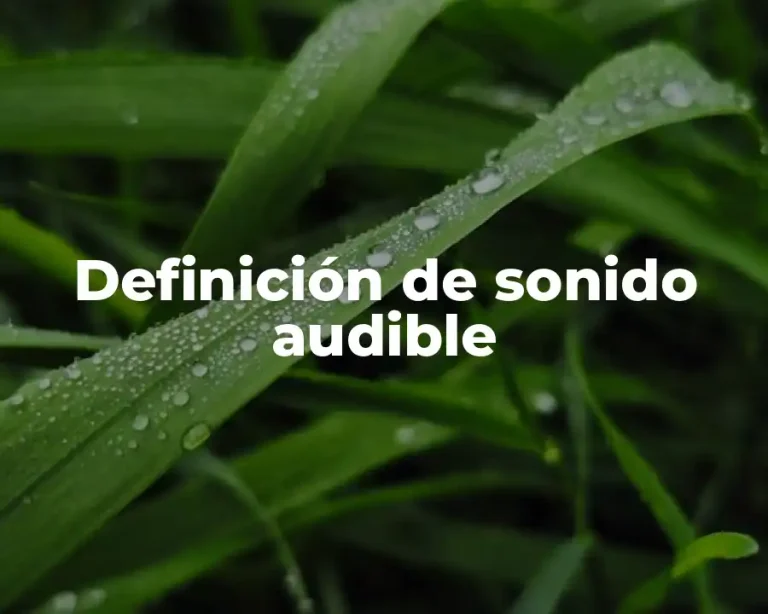 Definición de sonido audible