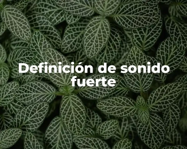 Definición de sonido fuerte