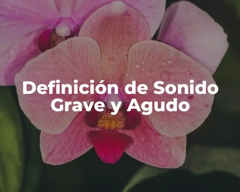 Definición de Sonido Grave y Agudo