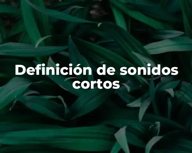 Definición de sonidos cortos