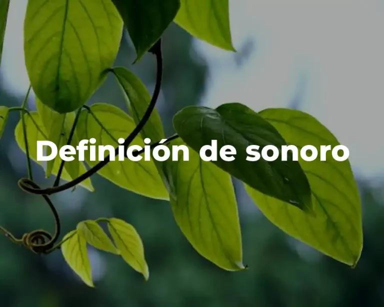 Definición de sonoro