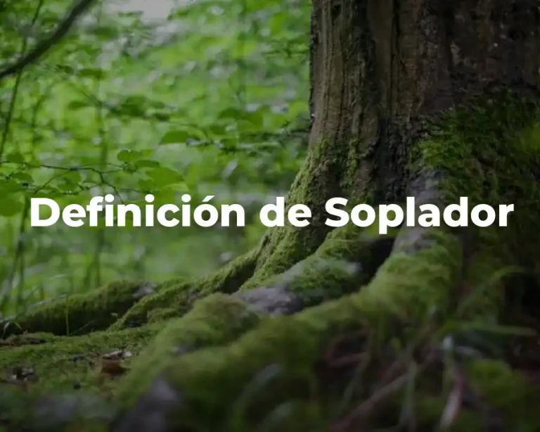 Definición de Soplador