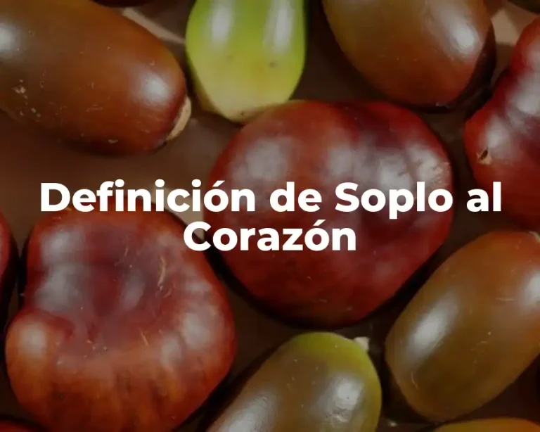 Definición de Soplo al Corazón