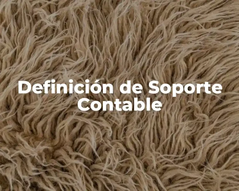 Definición de Soporte Contable