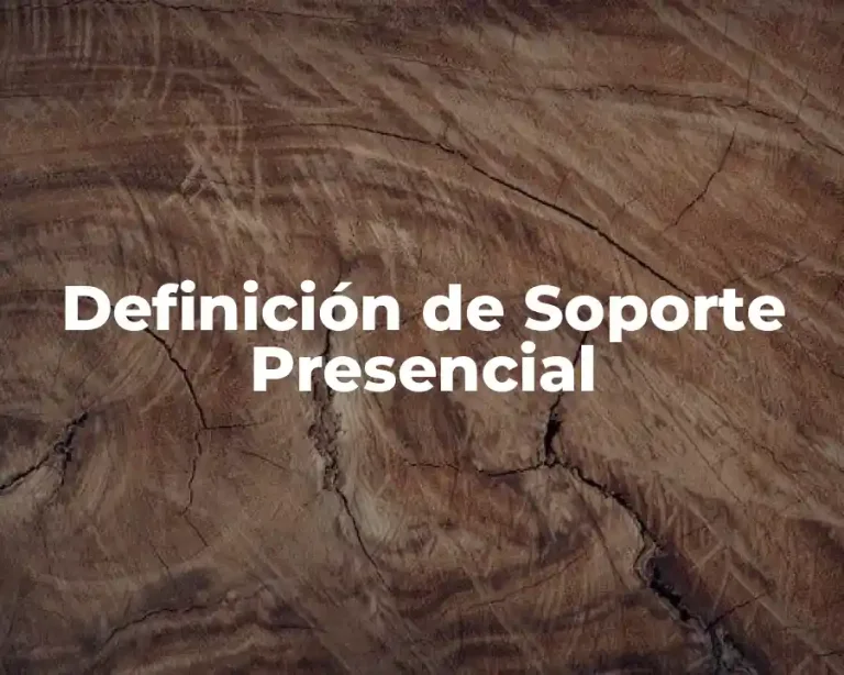 Definición de Soporte Presencial