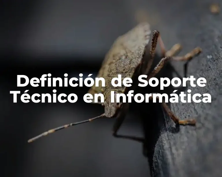 Definición de Soporte Técnico en Informática