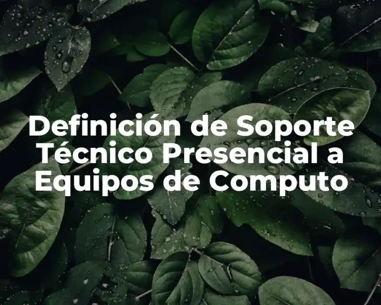 Definición de Soporte Técnico Presencial a Equipos de Computo