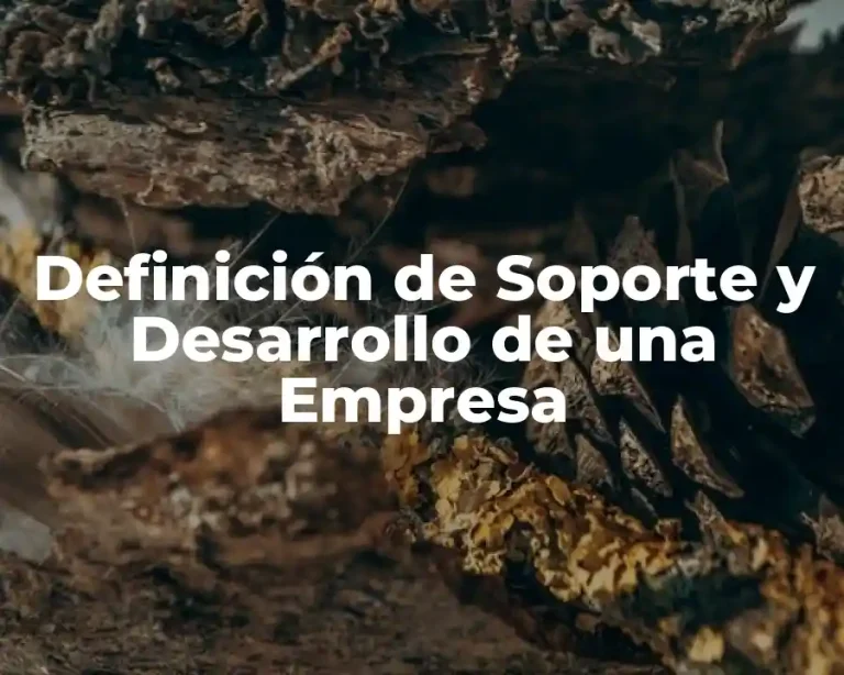 Definición de Soporte y Desarrollo de una Empresa