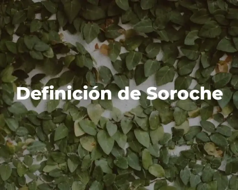 Definición de Soroche