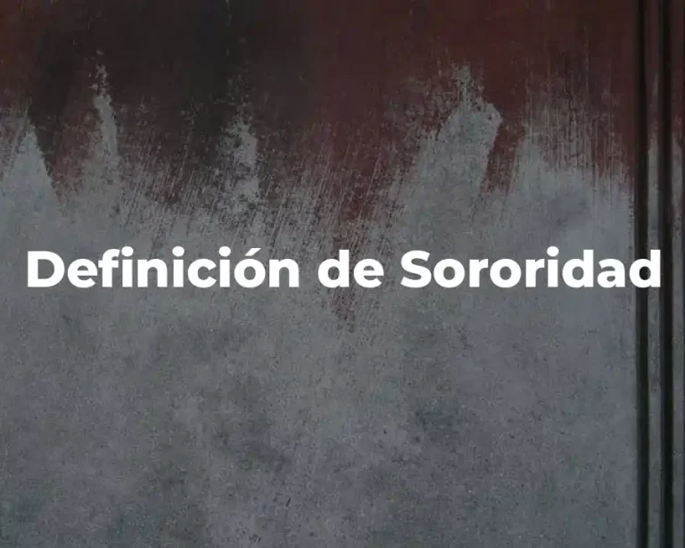 Definición de Sororidad