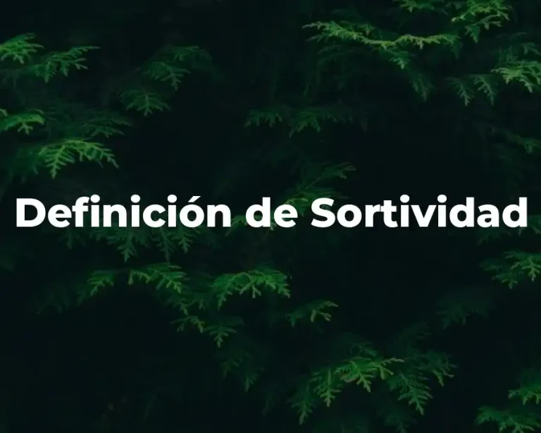 Definición de Sortividad