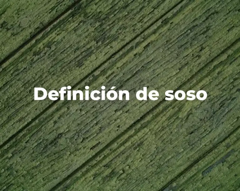 Definición de soso