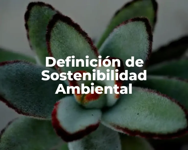 Definición de Sostenibilidad Ambiental