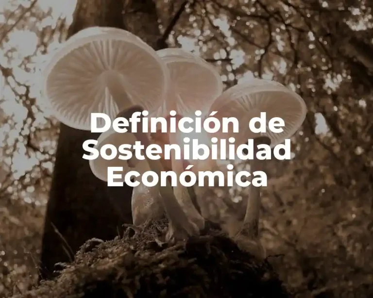 Definición de Sostenibilidad Económica