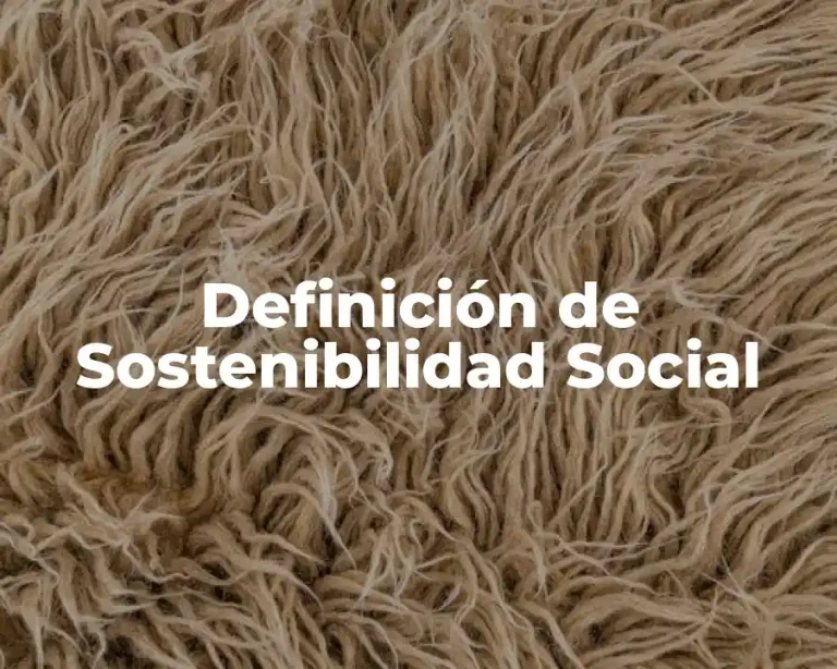 Definición de Sostenibilidad Social