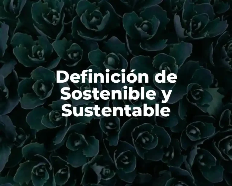 Definición de Sostenible y Sustentable