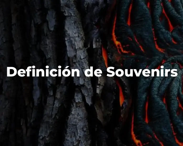 Definición de Souvenirs